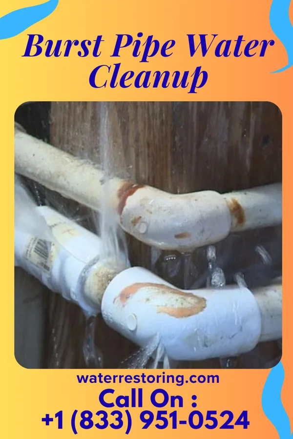 Burst Pipe Water Cleanup in Taconic Shores, NY