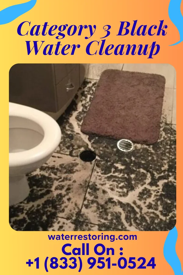 Category 3 Black Water Cleanup in Taconic Shores, NY