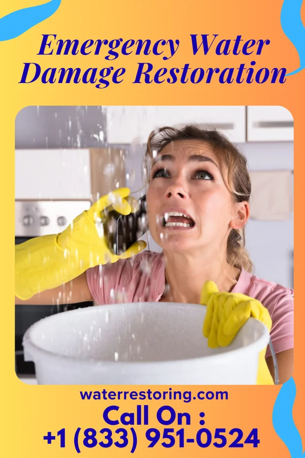 Emergency Water Damage Restoration in Taconic Shores, NY