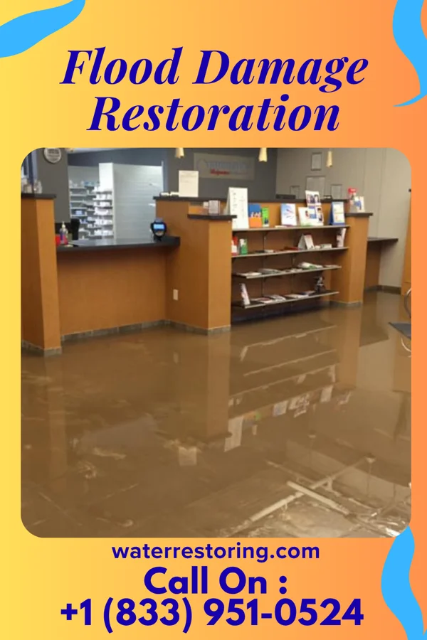 Flood Damage Restoration in Taconic Shores, NY